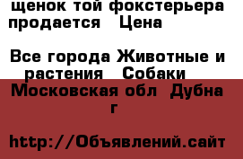 щенок той-фокстерьера продается › Цена ­ 25 000 - Все города Животные и растения » Собаки   . Московская обл.,Дубна г.
